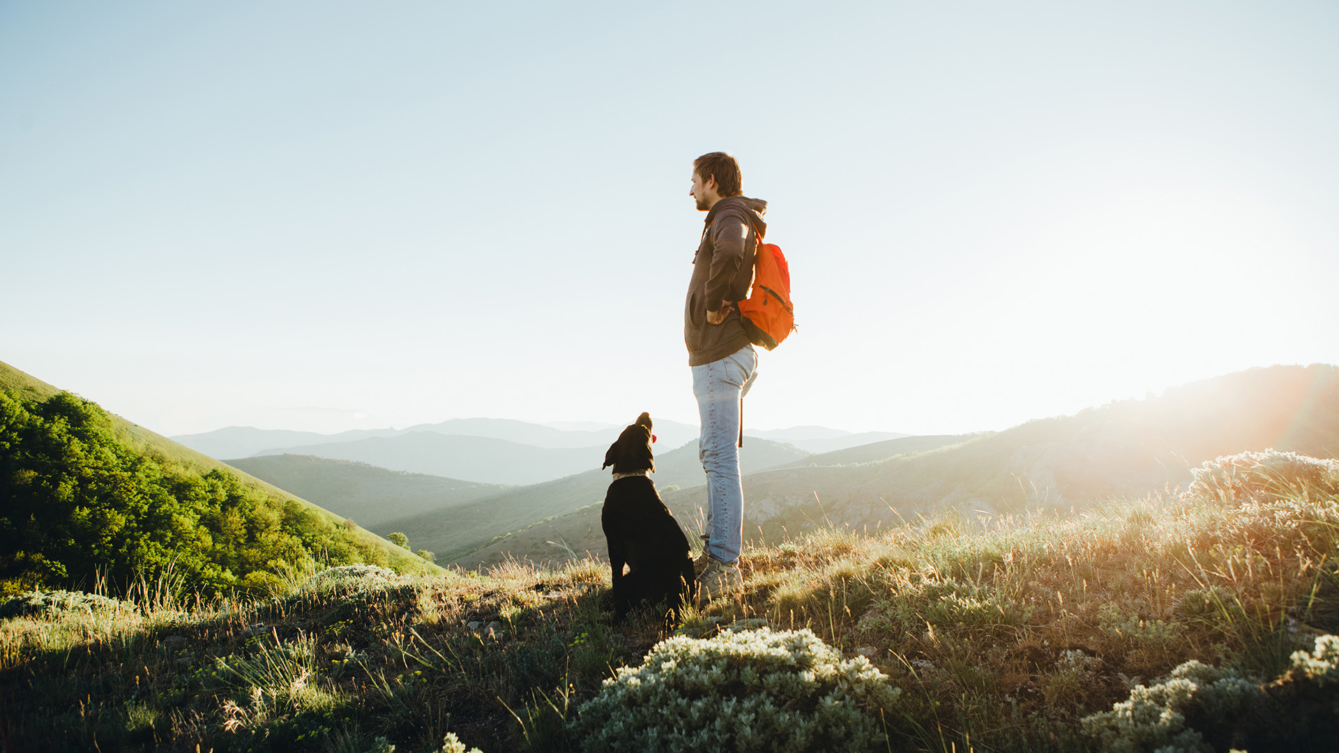 Man and dog on mountain