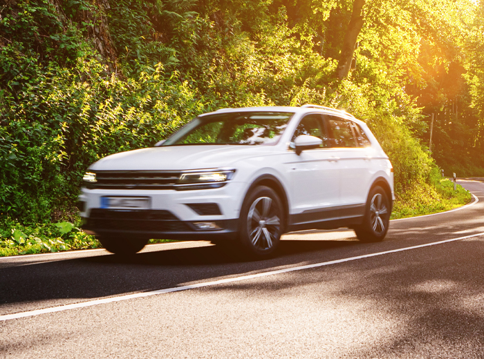 Auto Loans 101: Understanding Your Financing Options