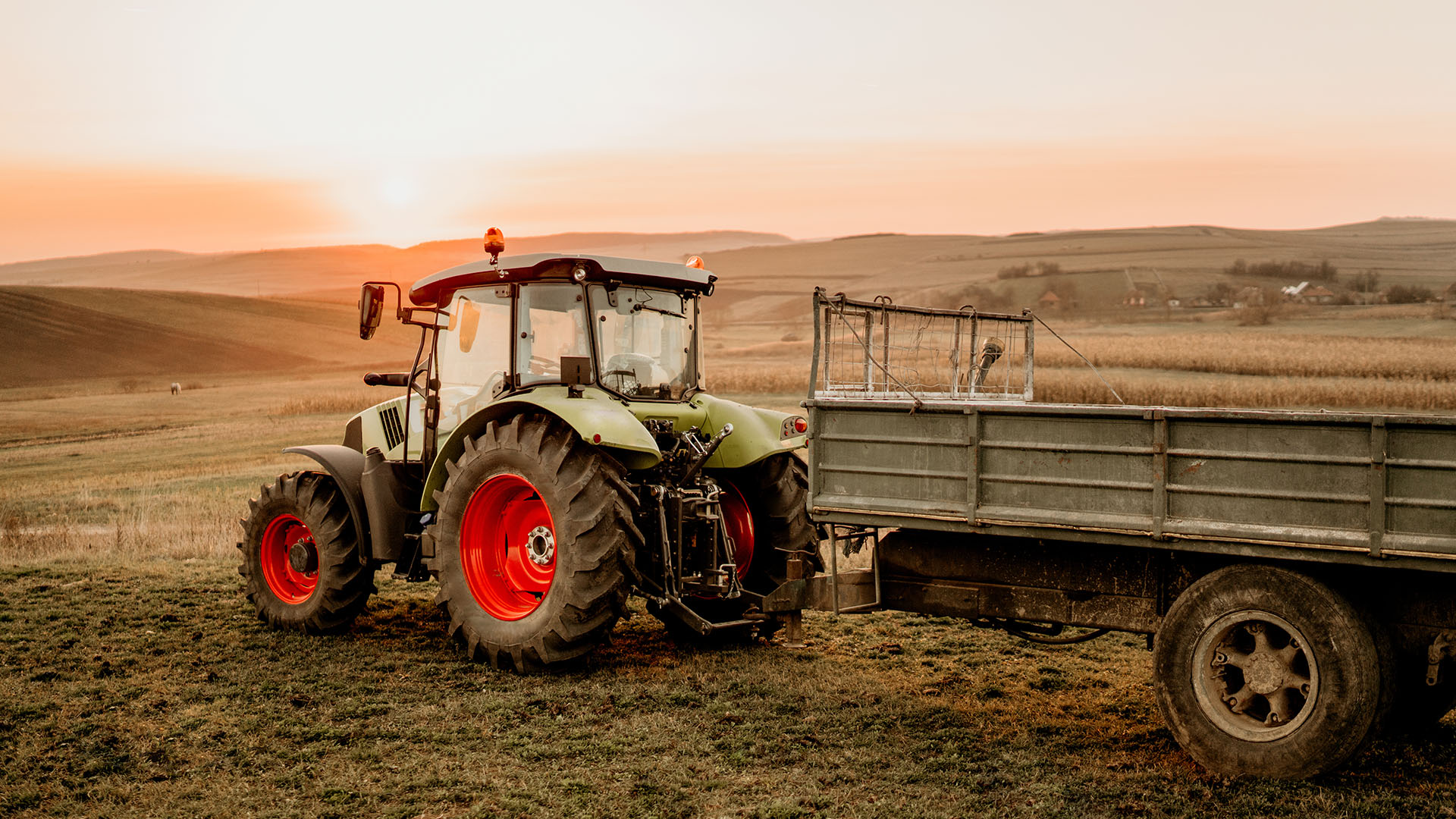 Tractor in a field