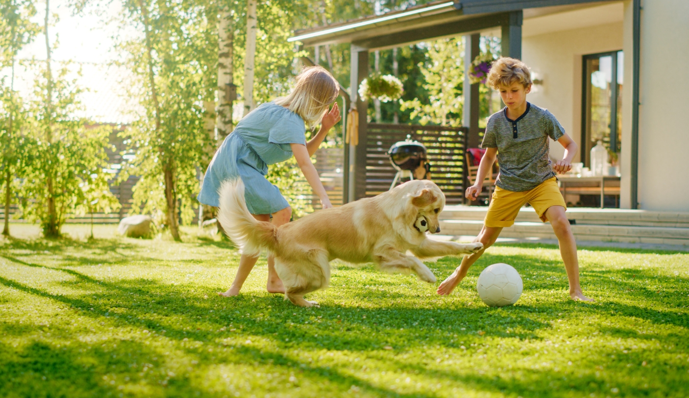 family playing outside home