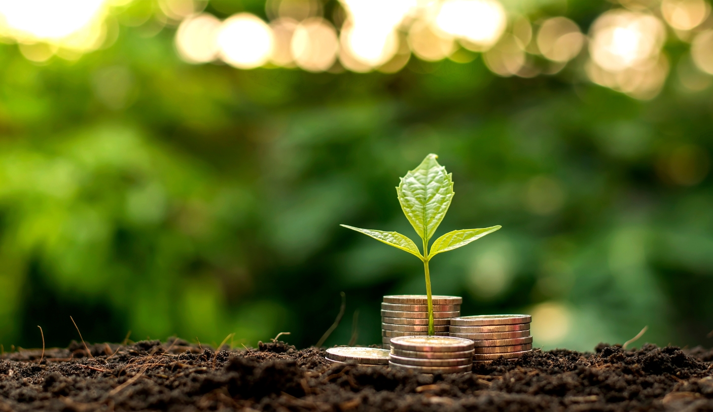 plant growing out of coins