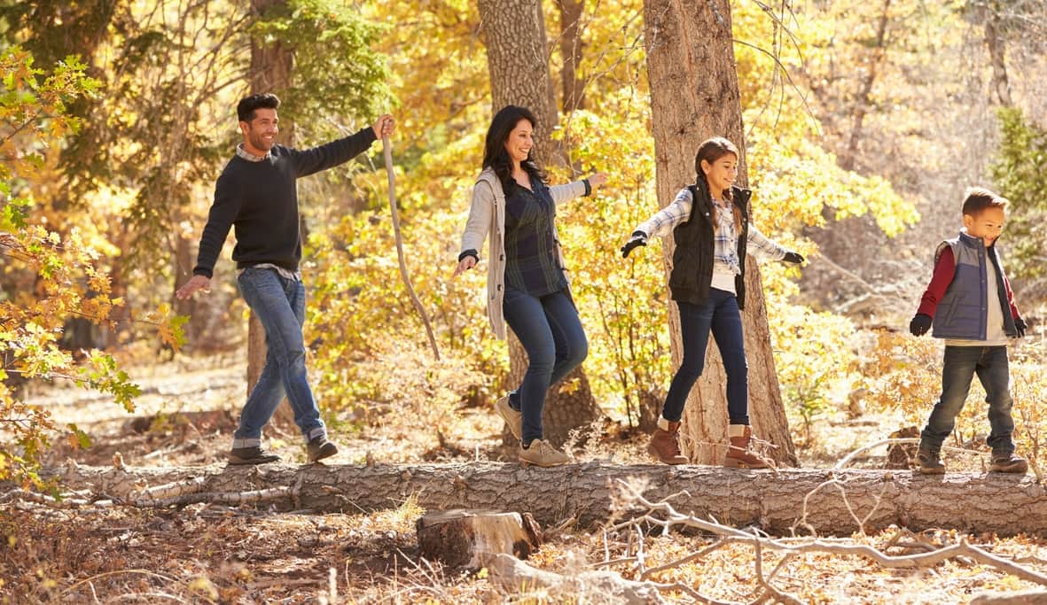 Family balancing on tree log