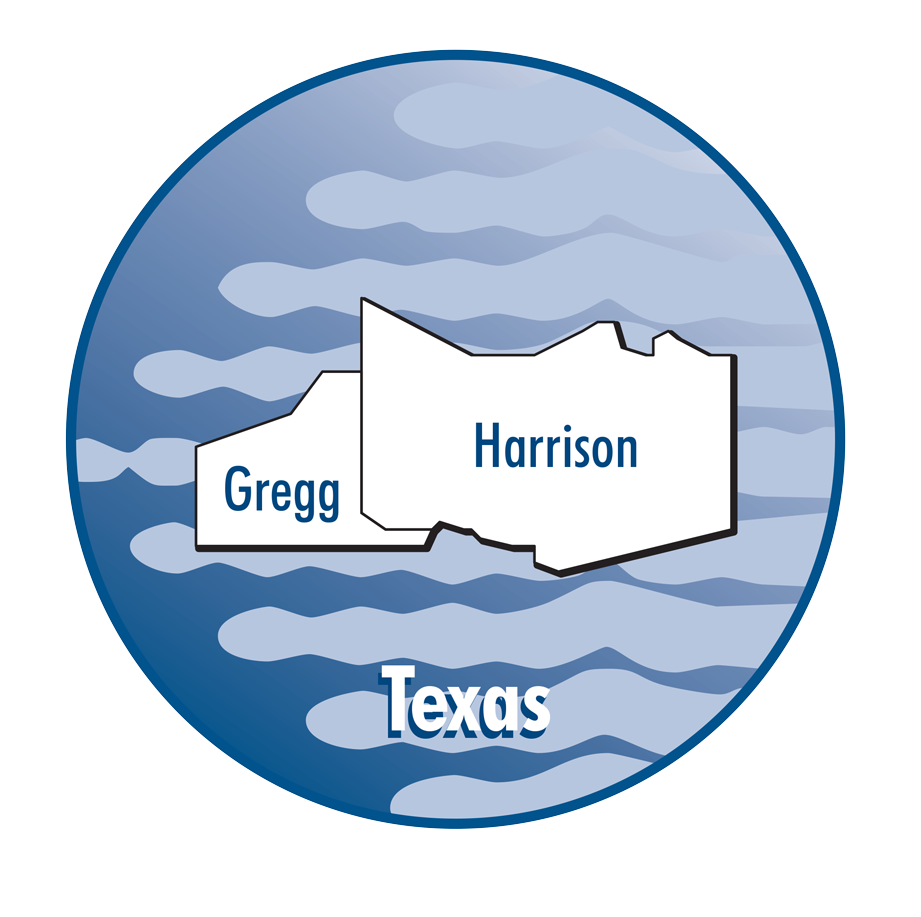 2005 Texas Map